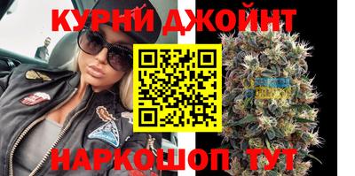 шишки Изобильный