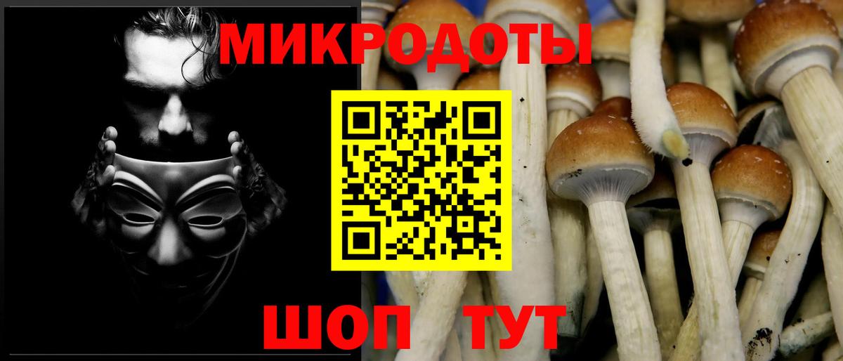 Красноуфимск  Галлюциногенные грибы мицелий  Вход с VPN 